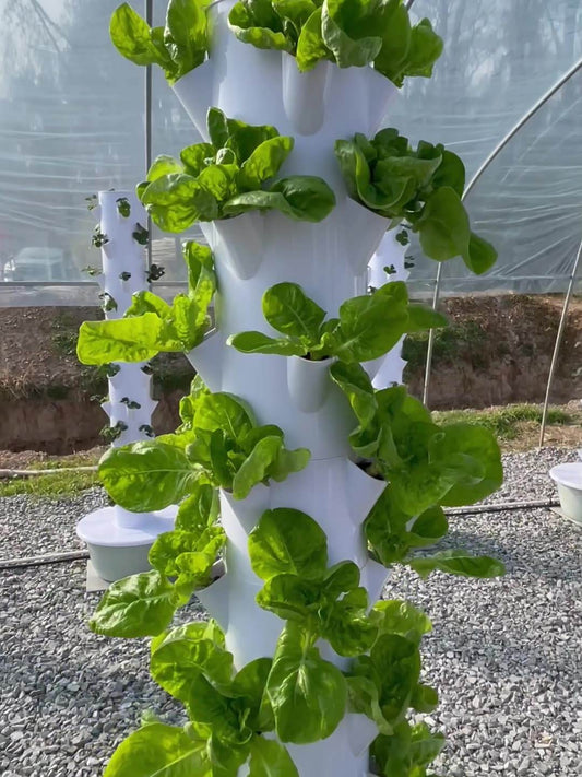 Commercial Indoor Aeroponic Vertical Hydroponic Tower Garden Growing Systems With LED