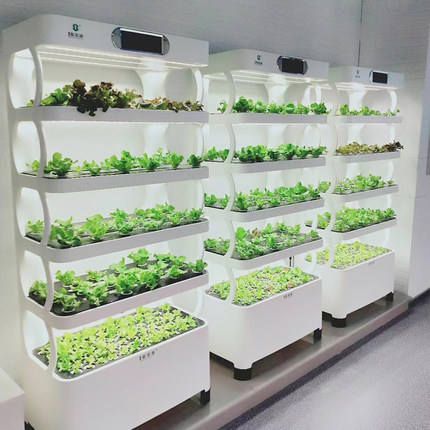 Intelligent Hydroponic Growing System Led Grow Lights Vertical Hydroponic Automated Grow System
