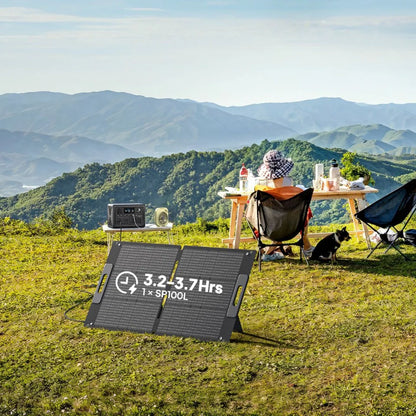 SP100L Solar Panel | 100W
