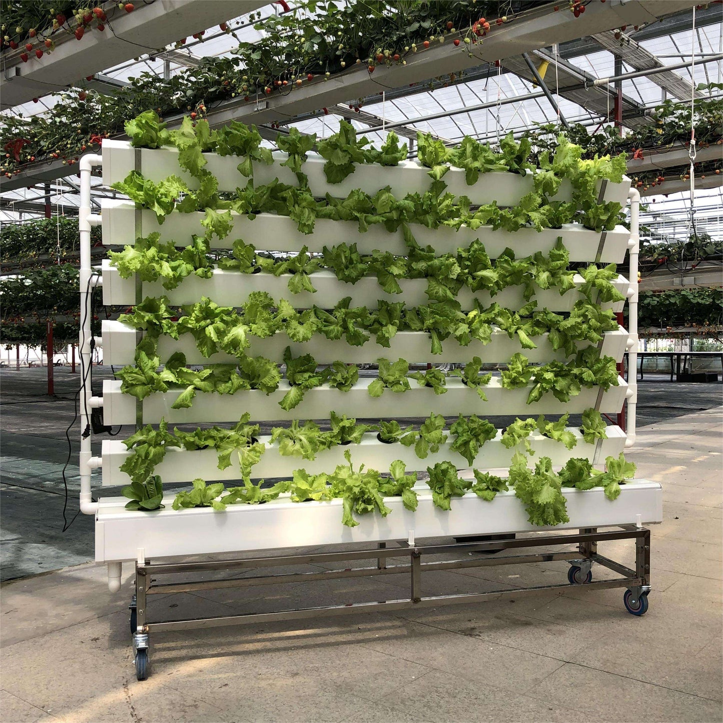 Vertical Aeroponics Greenhouse Hydroponic NFT Grow System for Vegetables, Fruits & Flowers